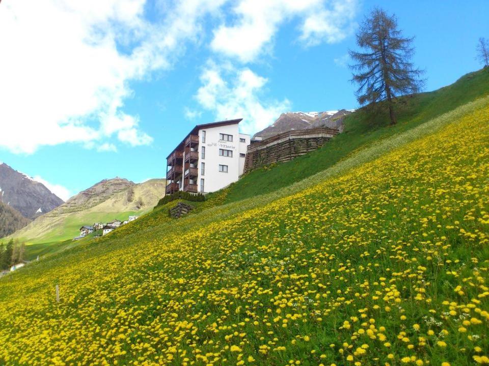 Priroda u blizini apartmana