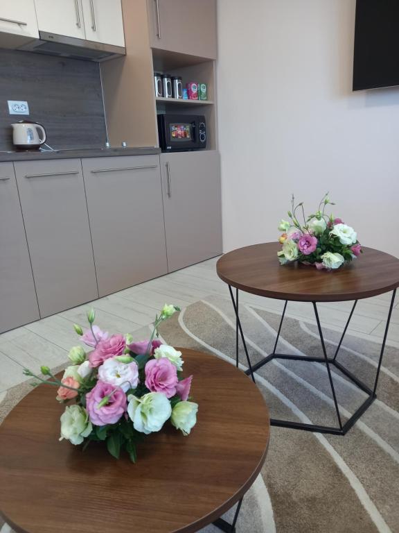 Foto dalla galleria di LEDA Apartmani a Smederevo