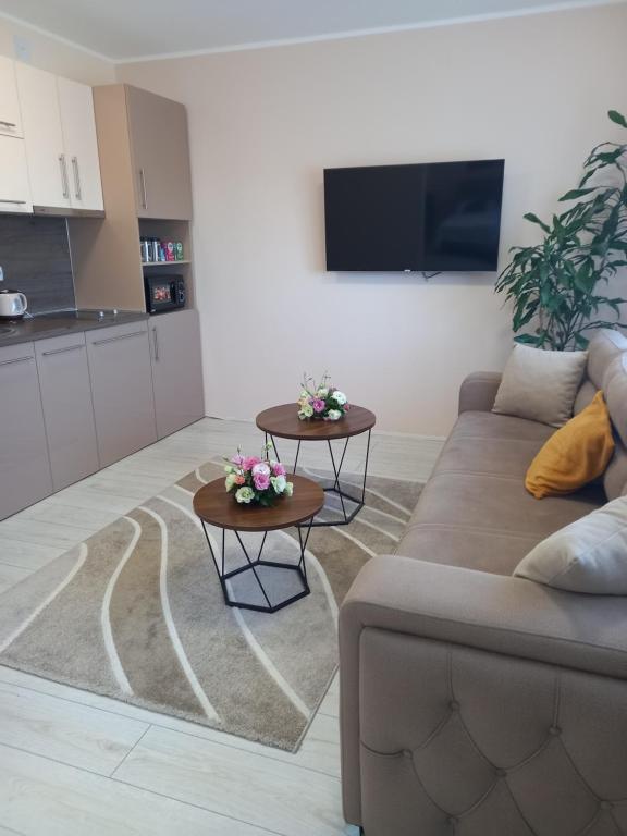 TV o dispositivi per l'intrattenimento presso LEDA Apartmani