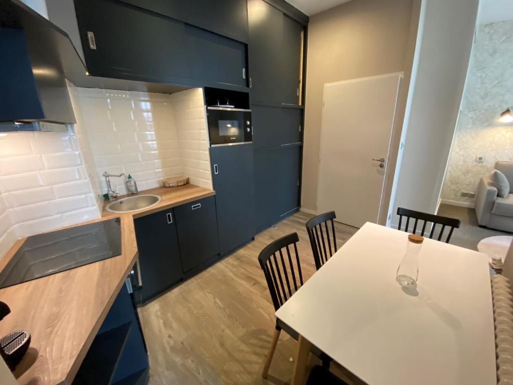 La Villa Beaupeyrat - Apparthôtels de charme dans bâtisse de caractère à 400m du cœur de ville de Limoges - Appartamento Di Famiglia Con Terrazza