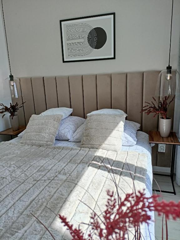 Apartament z 2 sypialniami - Nova Ludova - blisko 2 jezior - 3