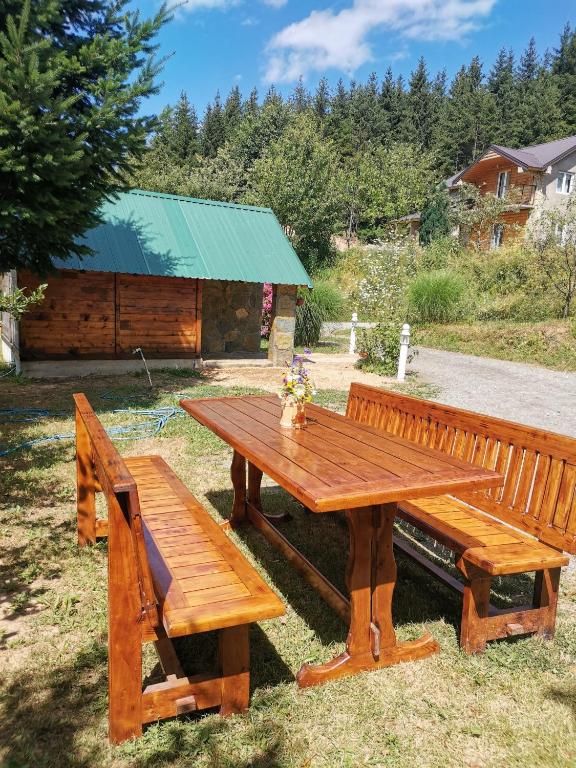 Zahrada ubytování Bungalov Živković