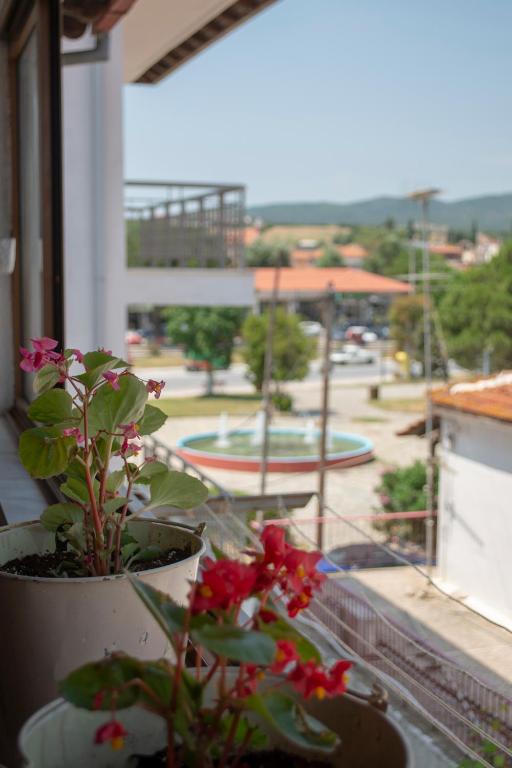 Příroda nedaleko apartmánu
