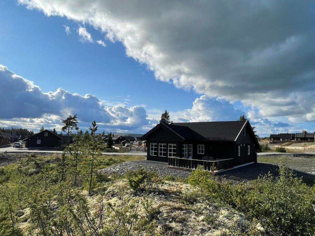 a black house on a field under a cloudy sky at Tisleibu - cabin at Golfjellet in Tisleidalen