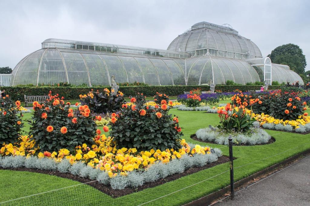 a greenhouse with a bunch of flowers in it at Two-Bedroom Flat Chiswick in Kew Bridge