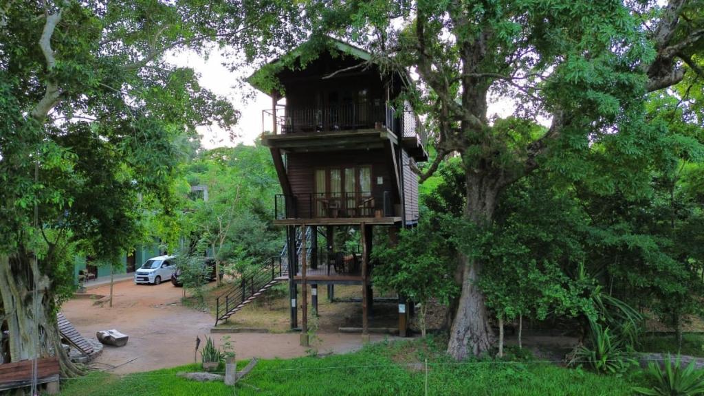 a tree house in the middle of a tree at Wilpattu Tree House in Wilpattu