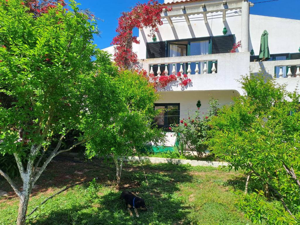 Av Fonte Coberta, Lagos, Villa Fonte Coberta