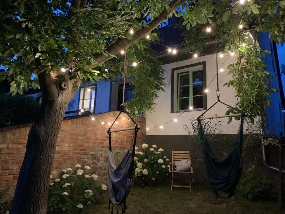 Zwei Hängematten hängen an einem Baum vor einem Haus in der Unterkunft Oak House in Świebodzin