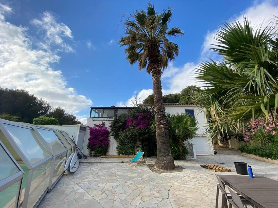 un palmier dans une cour avec une maison dans l'établissement Joli haut de villa à deux pas de la mer et piscine, à Sausset-les-Pins