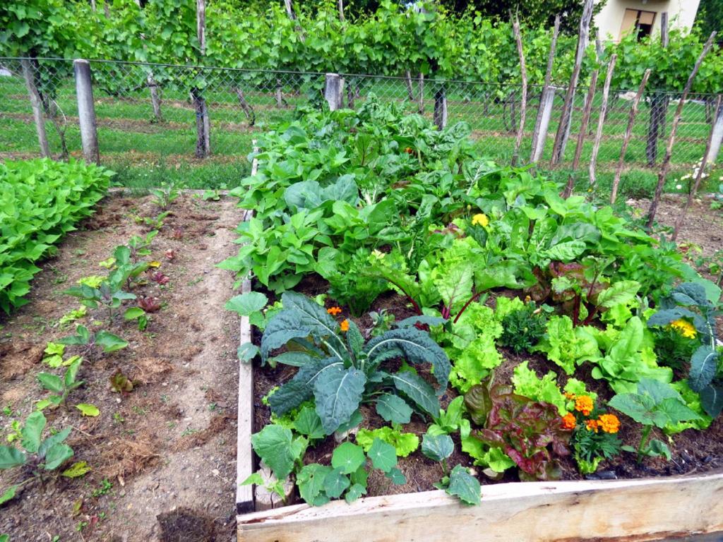 Zahrada ubytování ULVF Les Beaupins