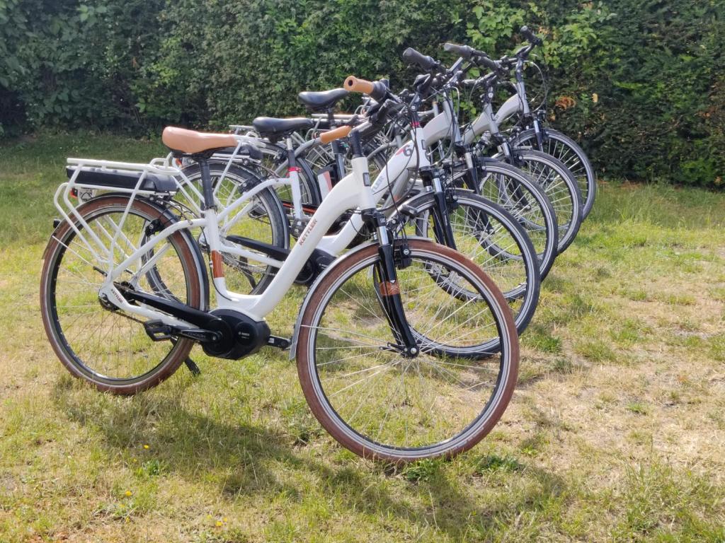 bremsen kinderfahrrad einstellen Bremshebel 12 - 14 handschuhe joggen Classic Leichte HappyRun Ebike Color:V10 Pixel Green Matt