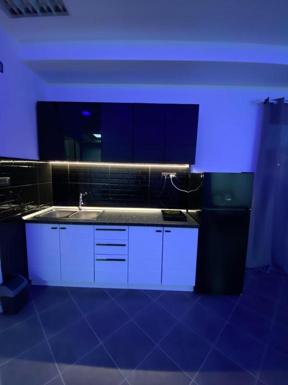 Kuchyň nebo kuchyňský kout v ubytování Apartman Dimitrijevic