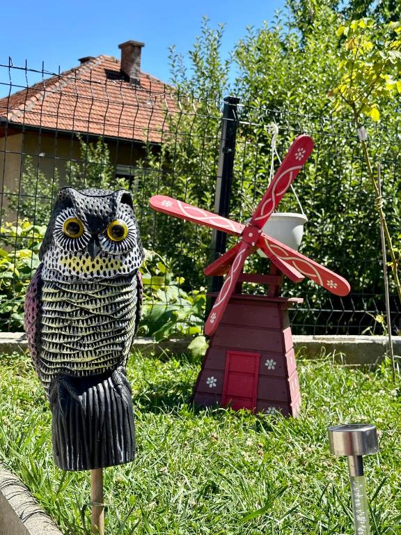Zahrada ubytování Apartman Ejna