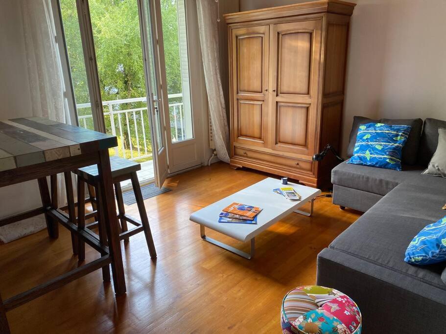 a living room with a couch and a table at Appartement lumineux Vue montagne Centre Grenoble in Grenoble