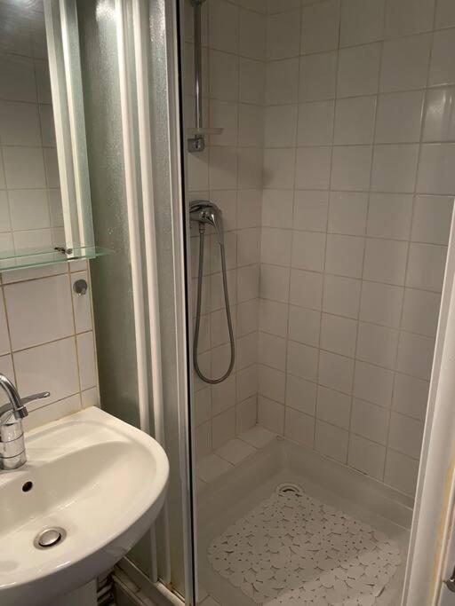 a bathroom with a shower and a sink and a shower at Appartement lumineux Vue montagne Centre Grenoble in Grenoble