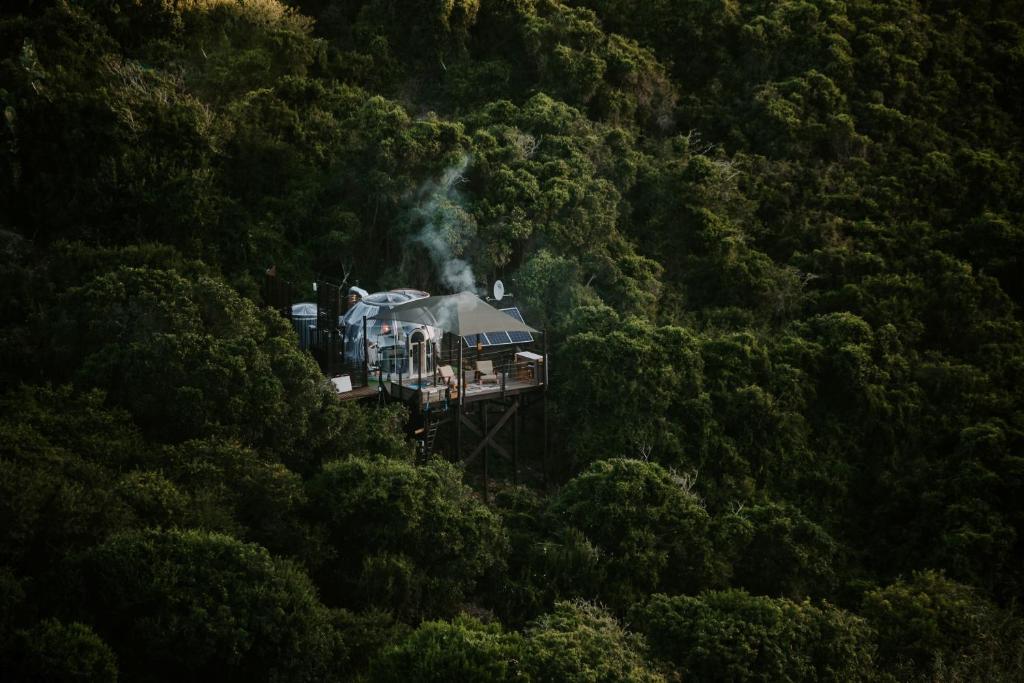 un train traversant une forêt luxuriante et verdoyante dans l'établissement Thunzi Bush Lodge, à Beach View