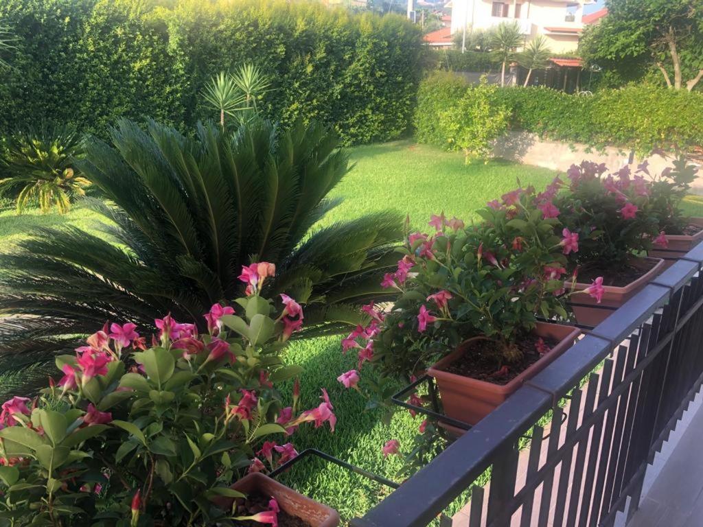 een tuin met roze bloemen en planten op een hek bij La casa di Asia in Lamezia Terme