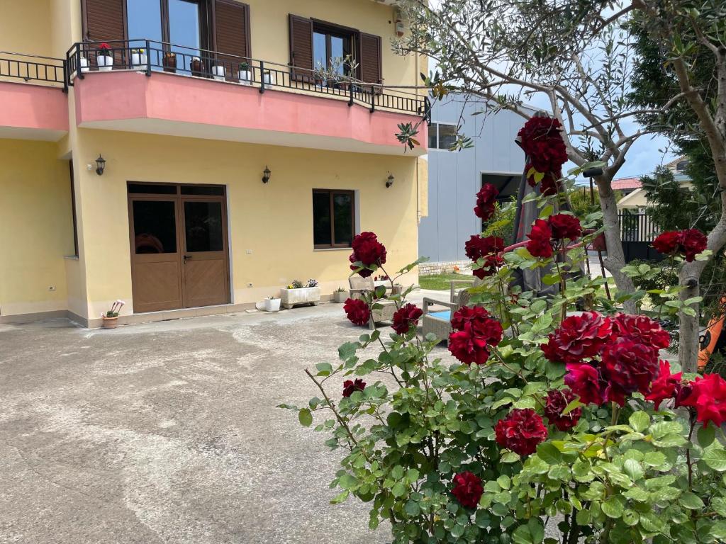 Zahrada ubytování Villa Meka