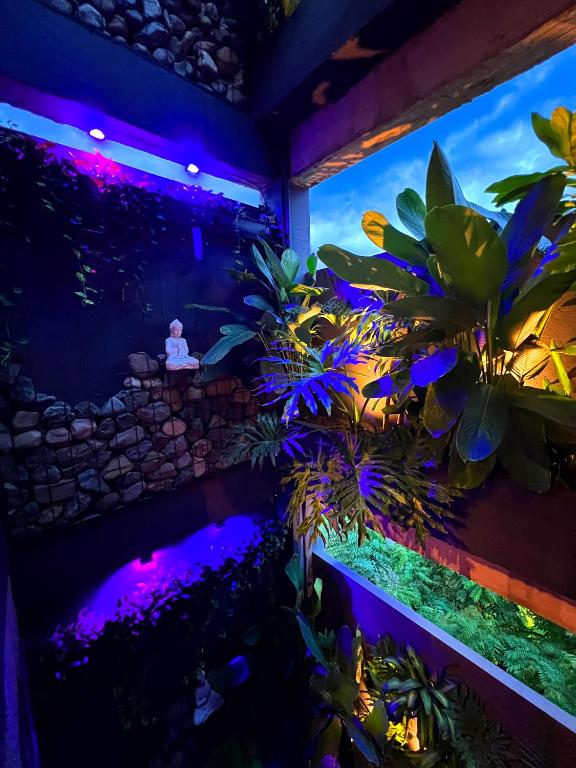 Fotografie z fotogalerie ubytování Hotel Zelva Negra v destinaci Medellín