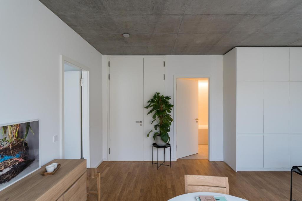 Carlotta Apartments - 19