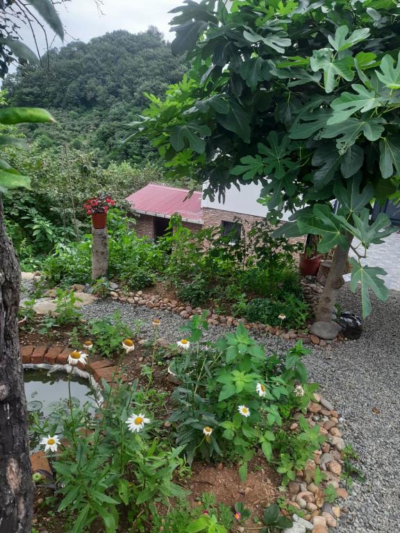 een tuin met bloemen en een huis op de achtergrond bij Müstakil villa in Trabzon