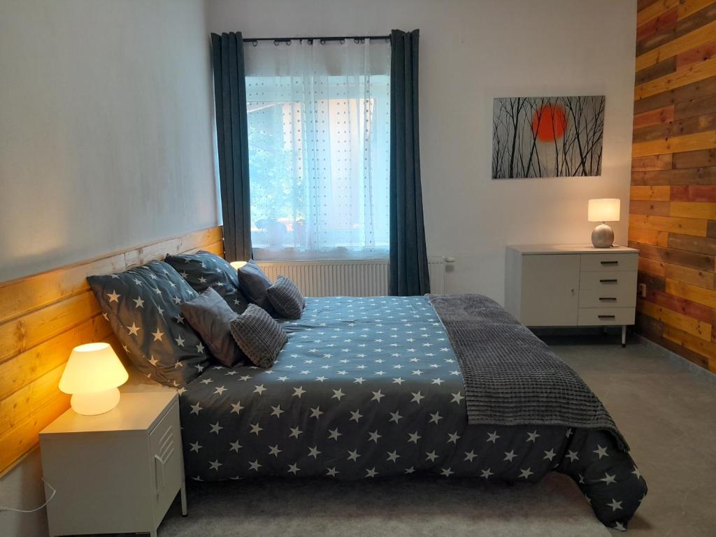 a bedroom with a bed and a window at Apartmán Maya in Pardubice