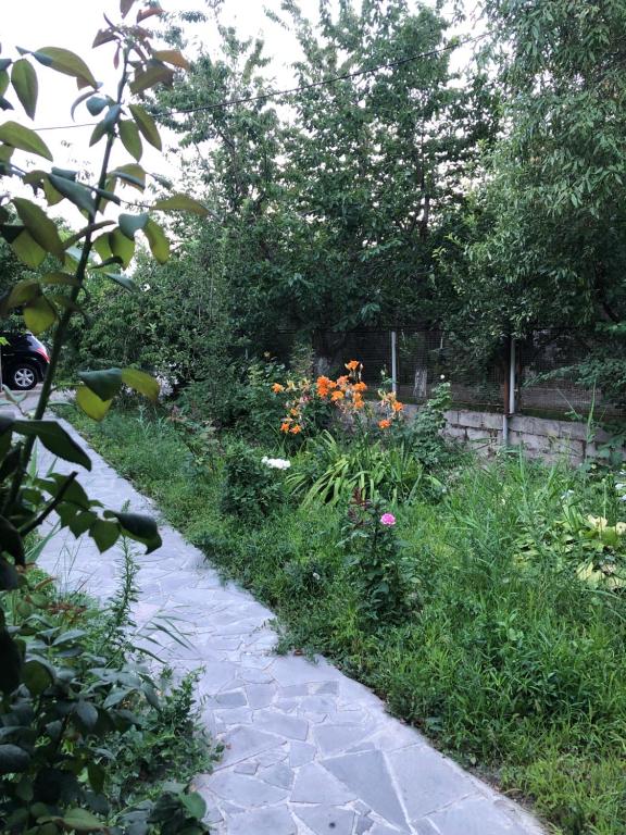 un giardino fiorito e un percorso pedonale di Драхтик a Yerevan