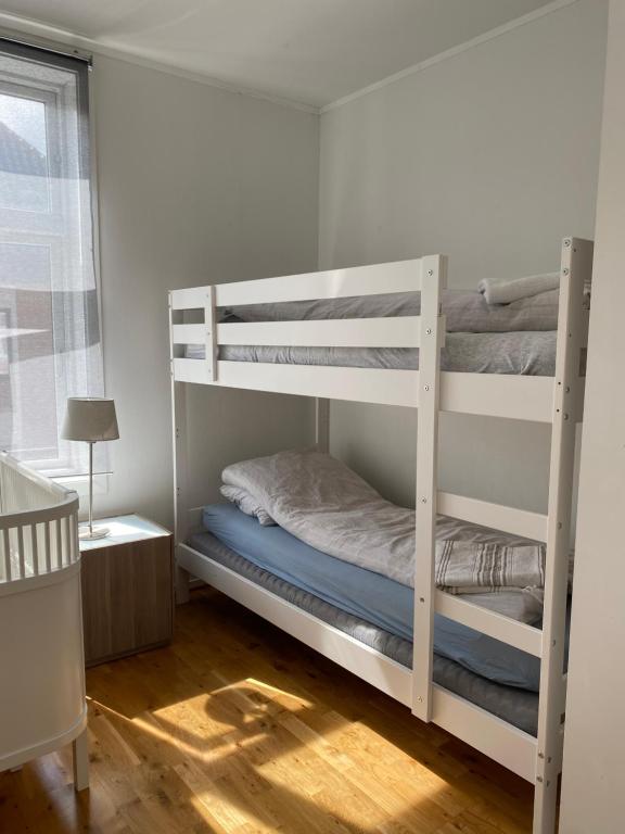 two bunk beds in a room with a window at Cozy and light apartment. in Bergen