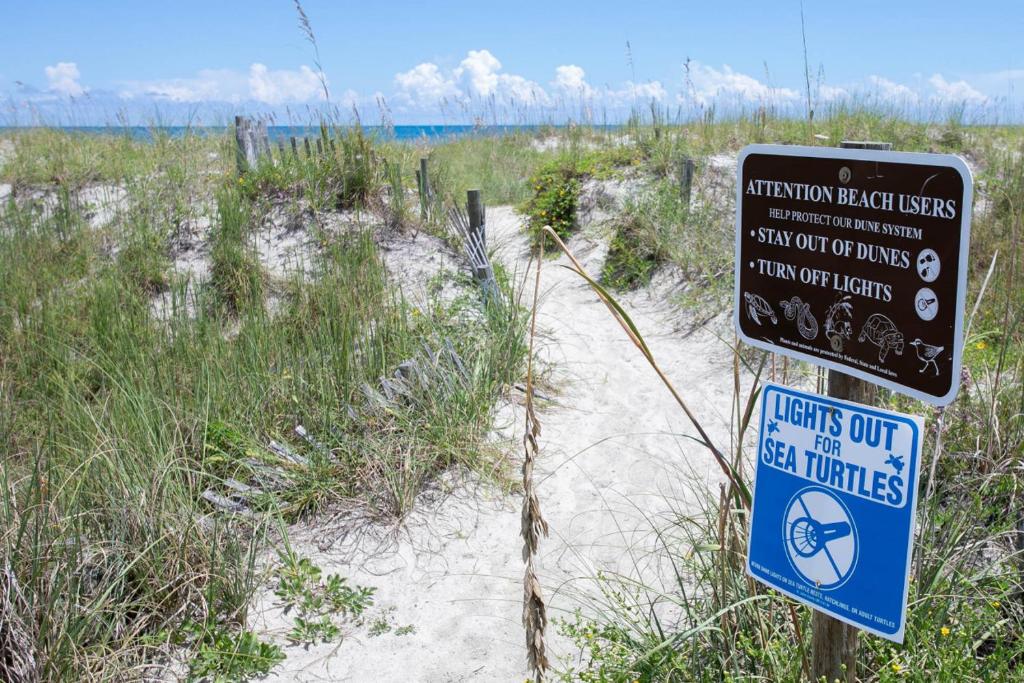 un panneau dans le sable sur une plage avec des panneaux de plage d'aitution dans l'établissement Sea Glass Cottage - An Oceanfront Experience, à Saint Augustine