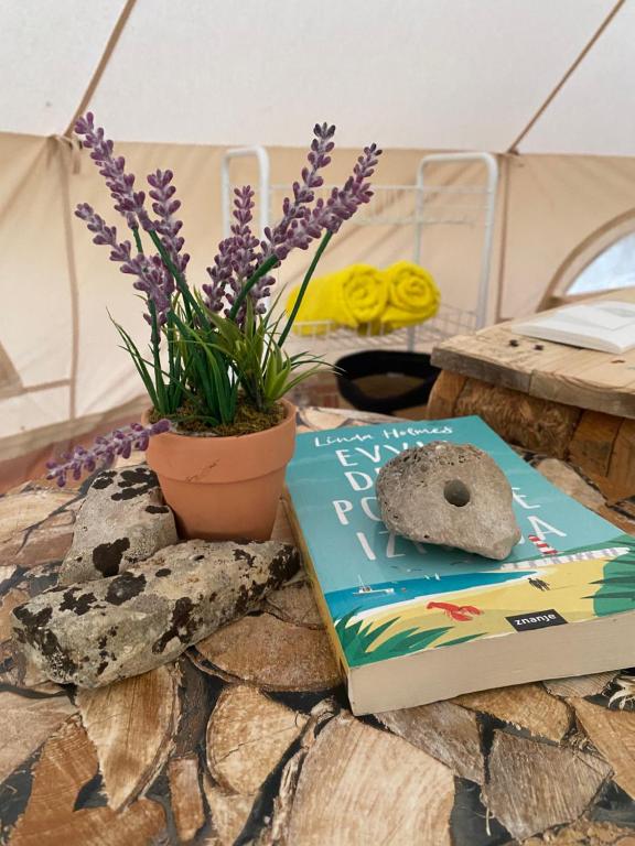Fotografia z galérie ubytovania Ancora Zara Glamping experience v destinácii Zadar