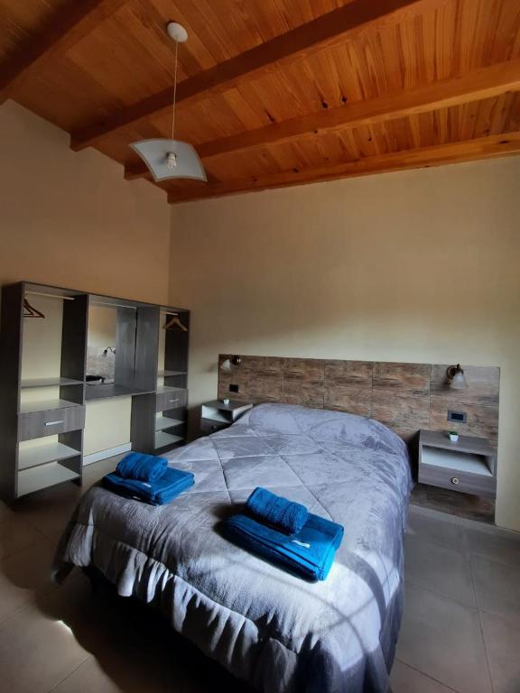 a bedroom with a large bed with blue pillows on it at Malargüe al Sur, departamentos in Malargüe