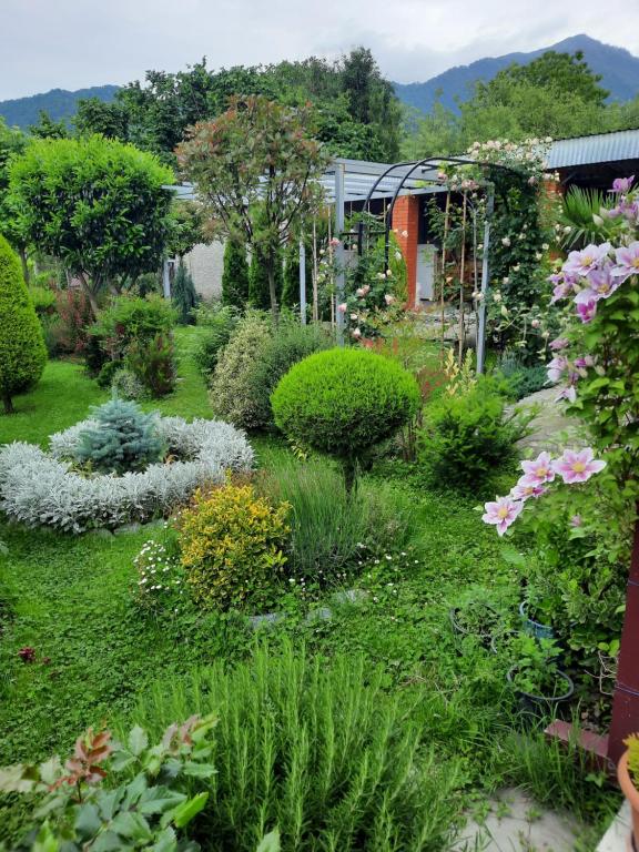 Zahrada ubytování Guest House Gardenia & Wine Cellar