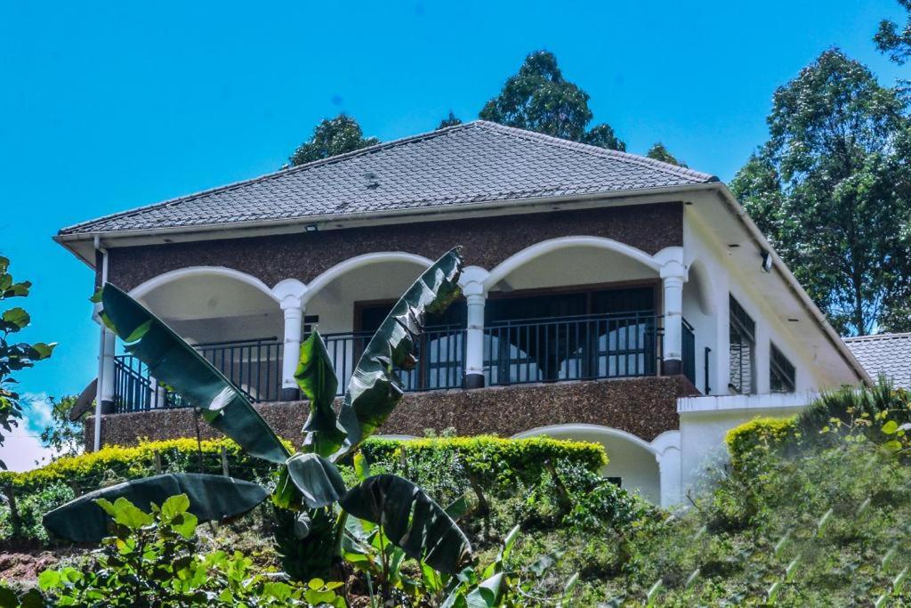 a house with a palm tree in front of it at The Fortuna Hotel and Cafe in Kabale