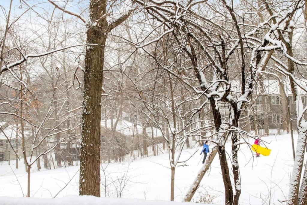 a group of trees with snow on them at Early check in- late check out Free day! in Lake Geneva
