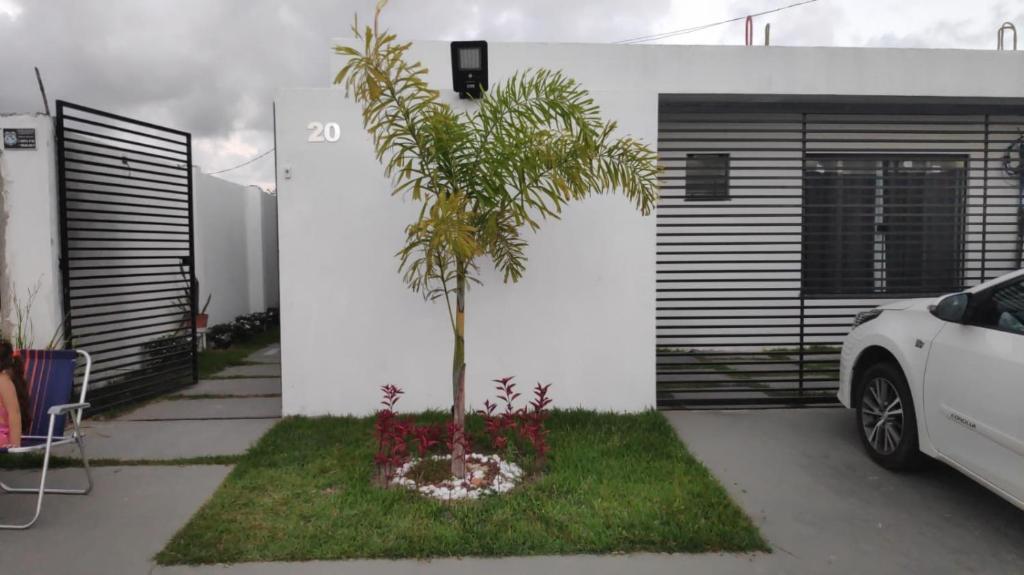 a palm tree in a yard next to a house at Salinas Atalaia -Flats Vale Di Serena in Salinópolis