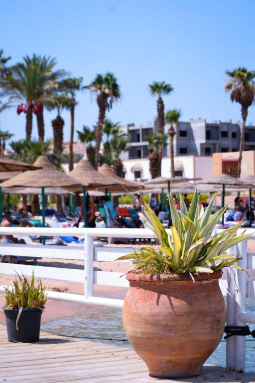 Fotografie z fotogalerie ubytování Mashrabiya Hotel v destinaci Hurghada