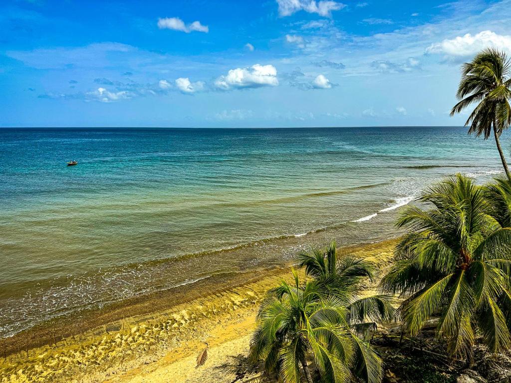 una playa con palmeras y el océano en Eco Resort Condos en Aguada