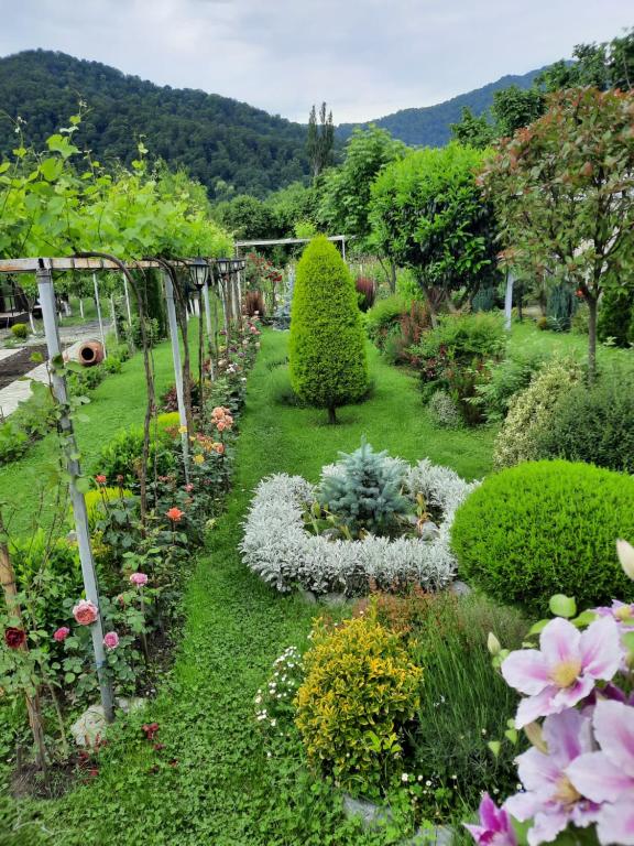 a garden with many different types of flowers at Guest House Gardenia & Wine Cellar in Lagodekhi