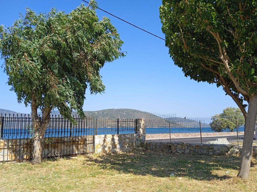 a fence next to a tree and a body of water at Maria in Apidias Lakos