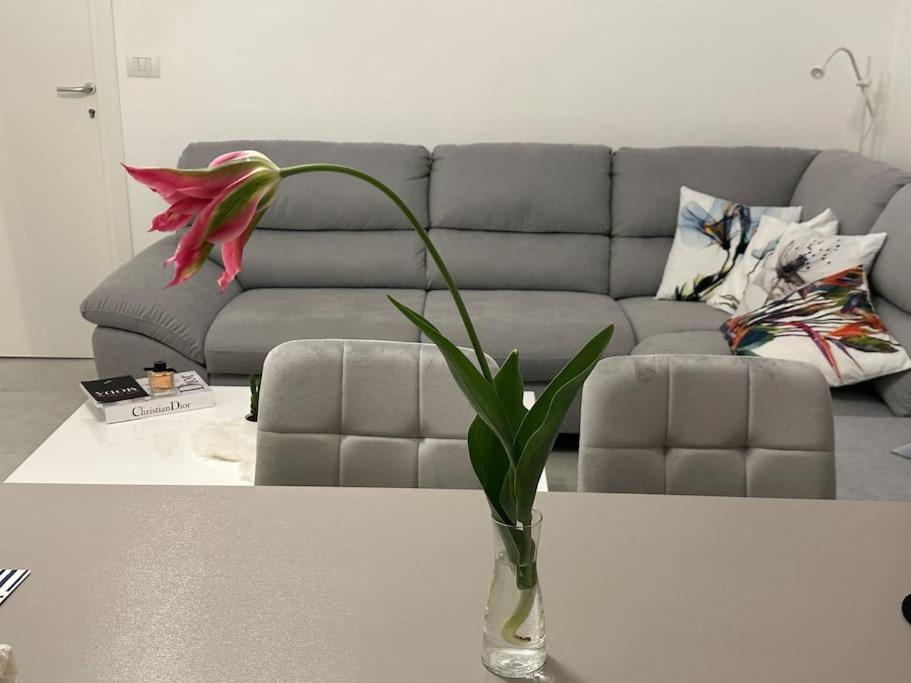 Posezení v ubytování Pash apartment