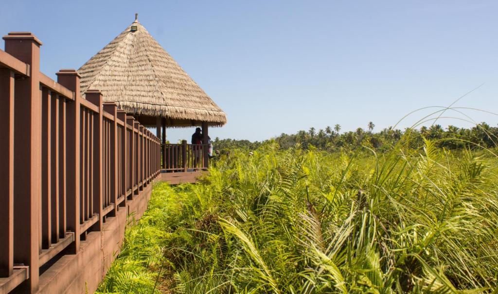 Silver County Fuvahmulah Diving Hotel - View 6