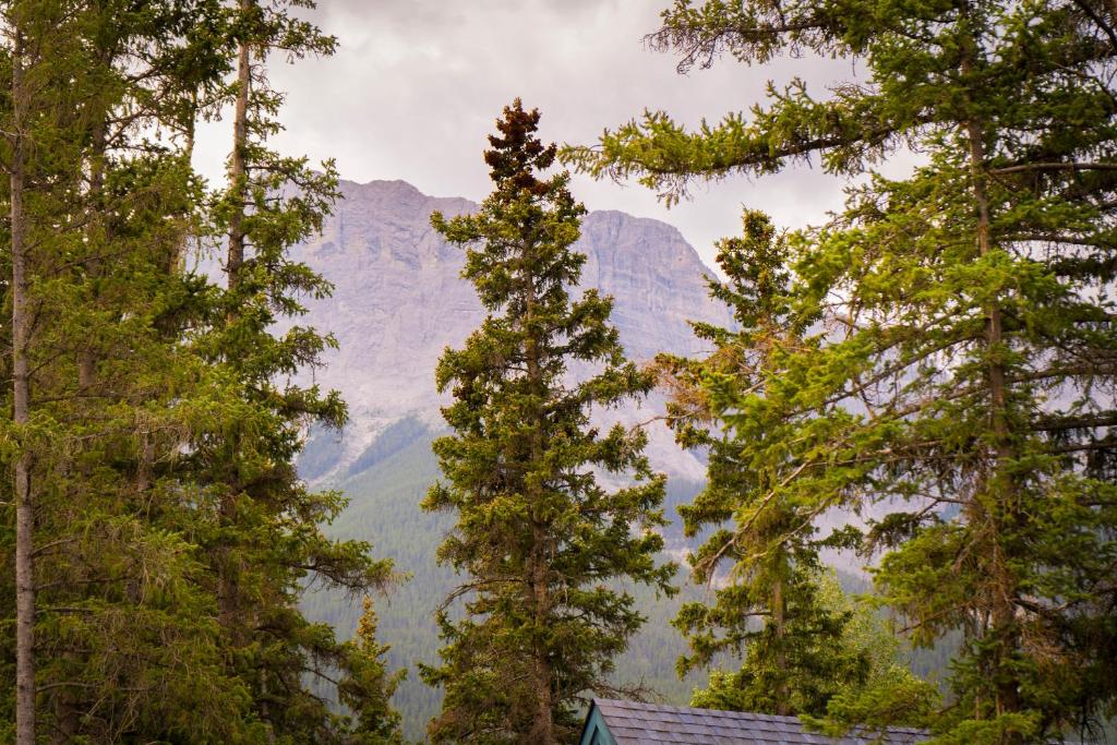 a view of a mountain through the trees at Romantic Luxury Retreat with Private Sauna & Spa, Pet Friendly, Elkside Hideout B&B in Canmore