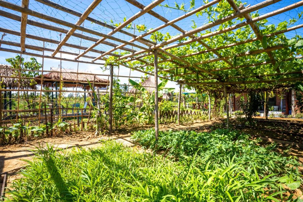 Um jardim no exterior de ZEN RETREAT HOI AN