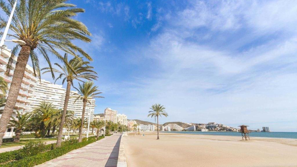 a beach with palm trees and buildings and the ocean at Beach Apartment in Cullera in Cullera