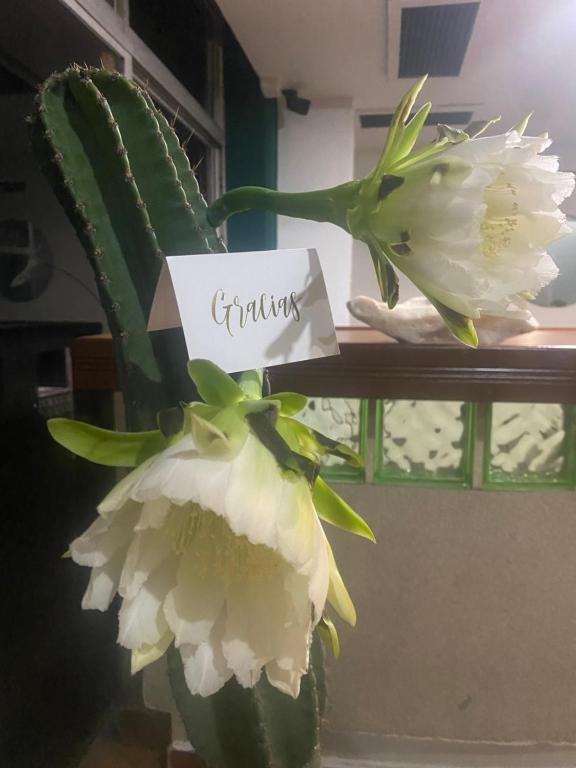 Fotografie z fotogalerie ubytování Hotel Casa Cactus HCC v destinaci Chachalacas