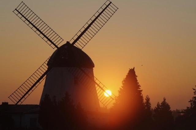 a windmill with the sun setting behind it at Mühlenurlaub Südheide in Wittingen