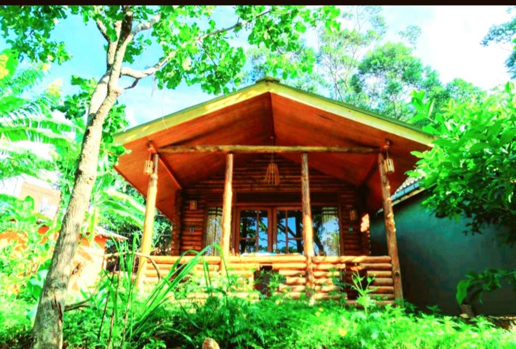 uma cabana de madeira com um alpendre numa floresta em Felicity Inn em Ella