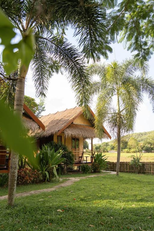 Zahrada ubytování Butterfly Hostel, Pai