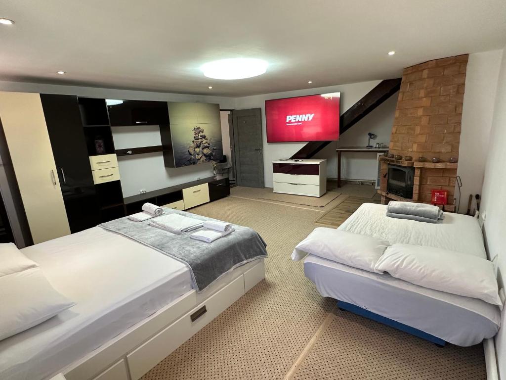 een slaapkamer met 2 bedden en een flatscreen-tv bij Casa Anisia Hunedoara in Hunedoara