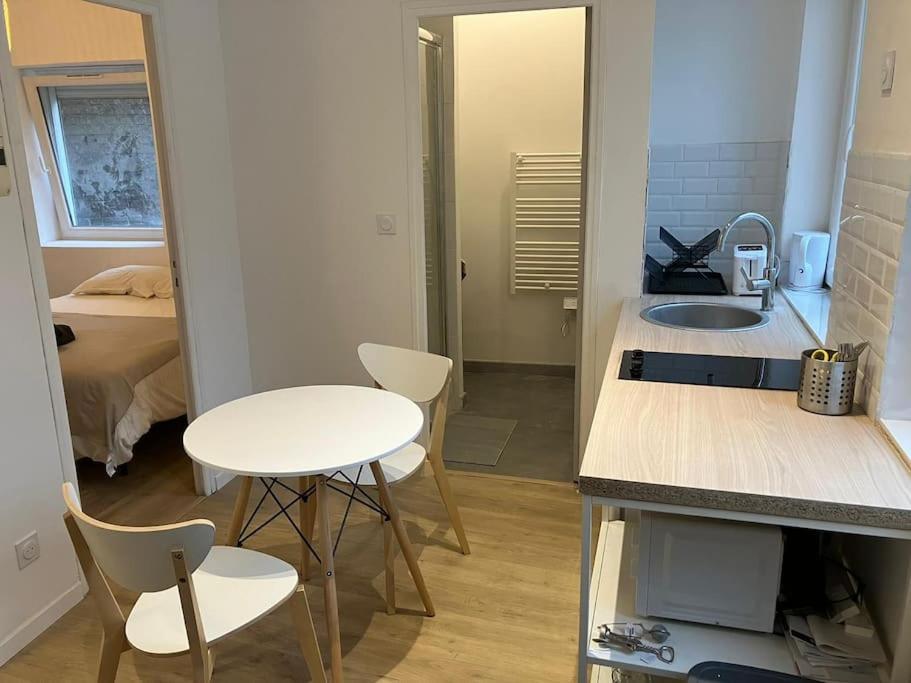 une petite cuisine avec une table et un évier dans l'établissement Leloir Appartment 2, à Tourcoing